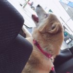 風花 さんのプロフィール写真