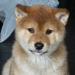 See☆ さんのプロフィール写真