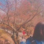 塩パン さんのプロフィール写真